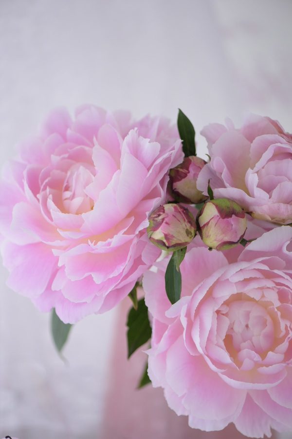 ピオニーブーケ Peony Bouquet 広島県安芸郡 フラワー教室 オーダーフラワーのla Rose Blanche